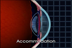 As we age, the lenses in the eyes lose some of their elasticity